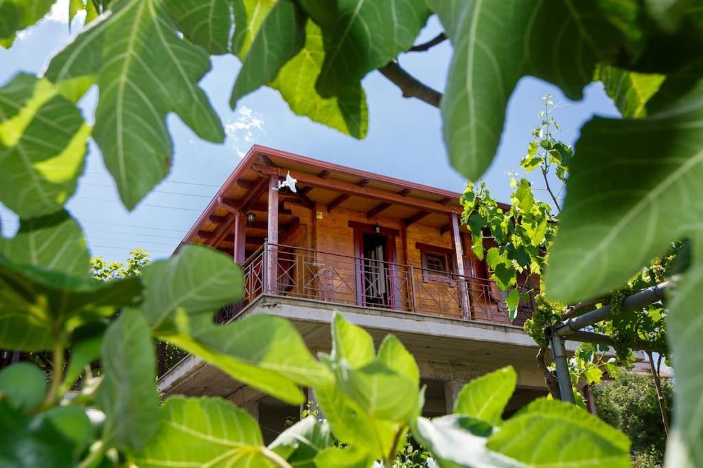 Appartement Wooden House In Ioannina Extérieur photo