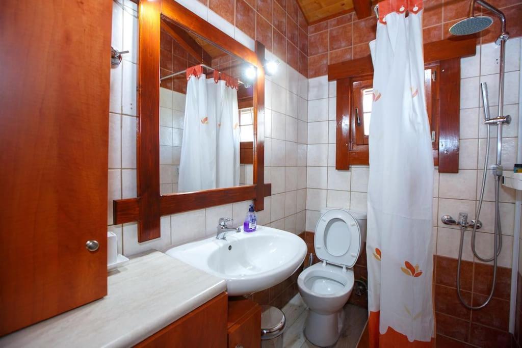 Appartement Wooden House In Ioannina Extérieur photo