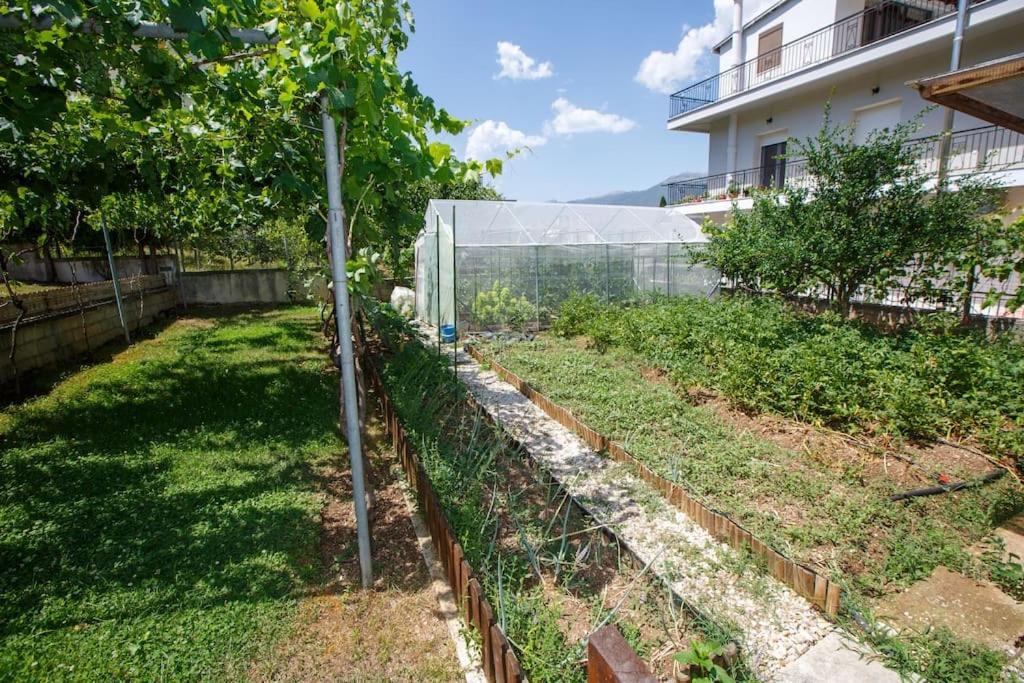 Appartement Wooden House In Ioannina Extérieur photo