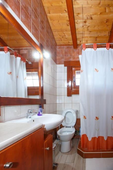 Appartement Wooden House In Ioannina Extérieur photo